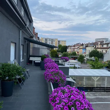 Günstiges Habitación en casa particular